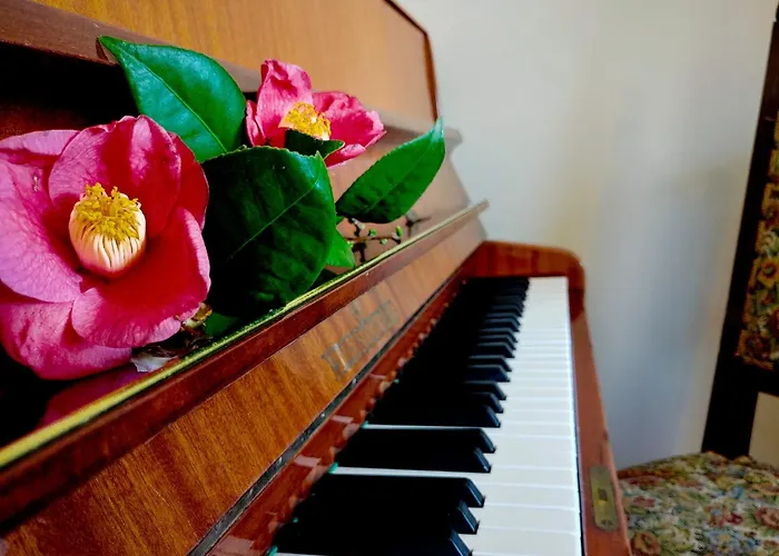 Apartment Pianoforte