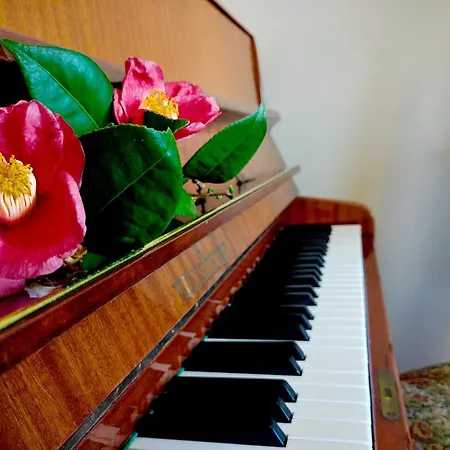 Lägenhet Pianoforte